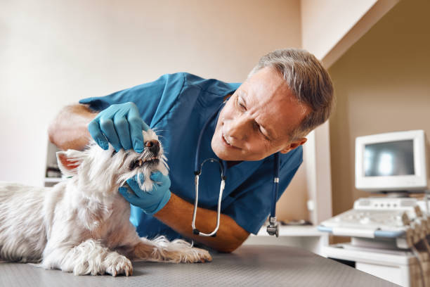 Best Emergency Tooth Extraction in Salem, NC